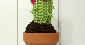 schema piantina grassa amigurumi