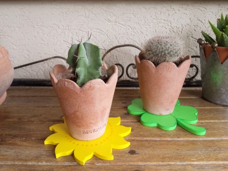 summer_gift