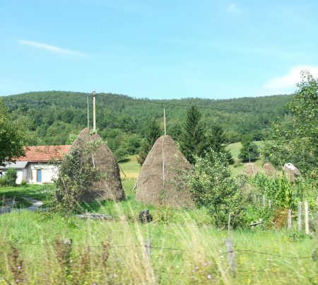 campagna-bosnia