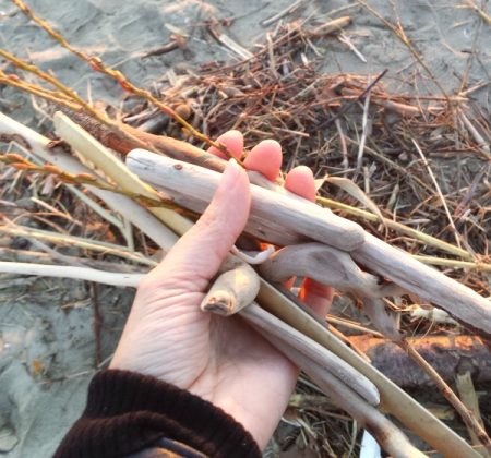 driftwood