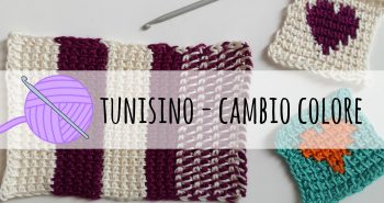 -uncinetto tunisino cambio colore