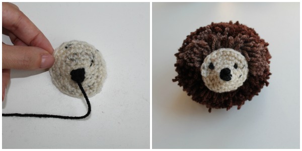 riccio pompon